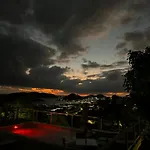 The Green Iguana Hotel