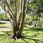 Oya - Wellness Eco Resort & Retreat