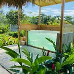 Palmeras del Valle