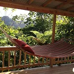 Roots Jungle Retreat