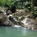 Roots Jungle Retreat