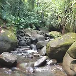 Roots Jungle Retreat