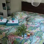 Le Colibri Et Le Frangipanier