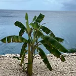 Lagun Sunset Resort All Natural Clothing Optional