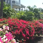 Kazalou