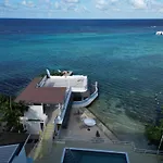 Ocean Palms
