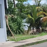 Amandier