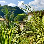 Cocotier, Elegant T3 Avec Jardin Tropical