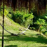 Cocotier, Elegant T3 Avec Jardin Tropical