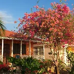 Little Bay Cabins