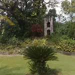 Fern Tree Bed And Breakfast