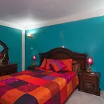 Royal Palm Holiday Apartment