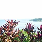 B&B Plage Des Raisiniers