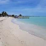 Nautica Del Mar En Combate