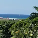 Palm View Guest House