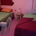 Holiday Home - Guest House