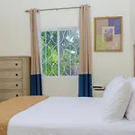 Tropical Luxury Dreams