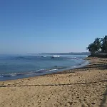 Ocean Dreams