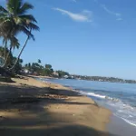 Ocean Dreams