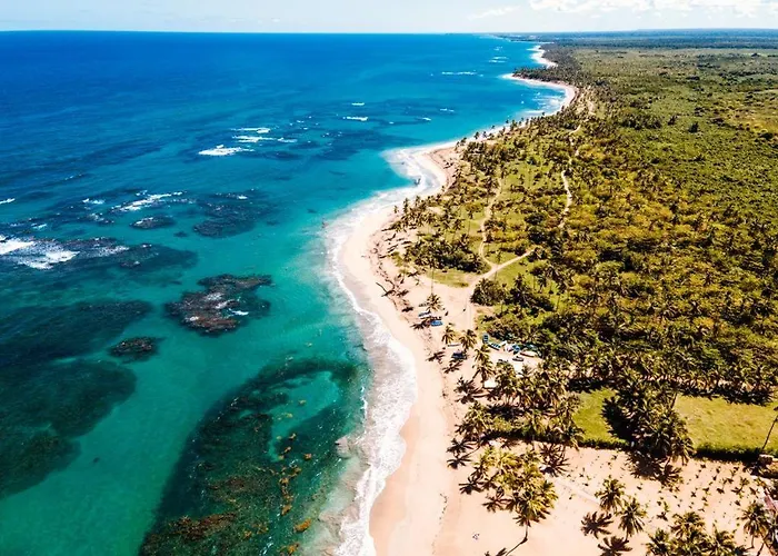 Puntacana Ecolodge Lavacama Beach Costa Arrecife By Aa Crypto Group