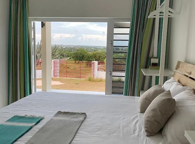 Quiet Happy Place With A View
