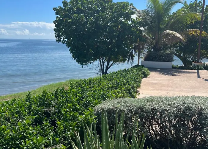 Bayfront Villa & Apartment