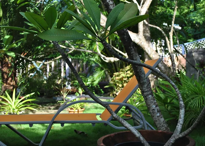 Villa Caribbean Dream