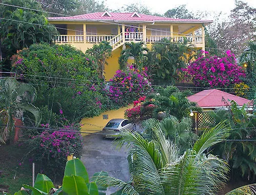 Hibiscus Heights
