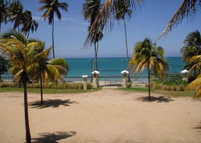 Aquatika Beachfront And Rainforest Views