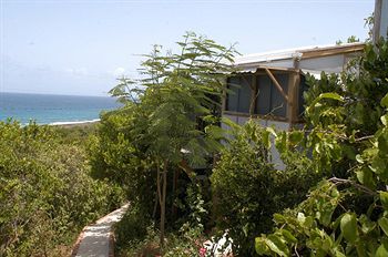 Virgin Islands 2* Water Island
