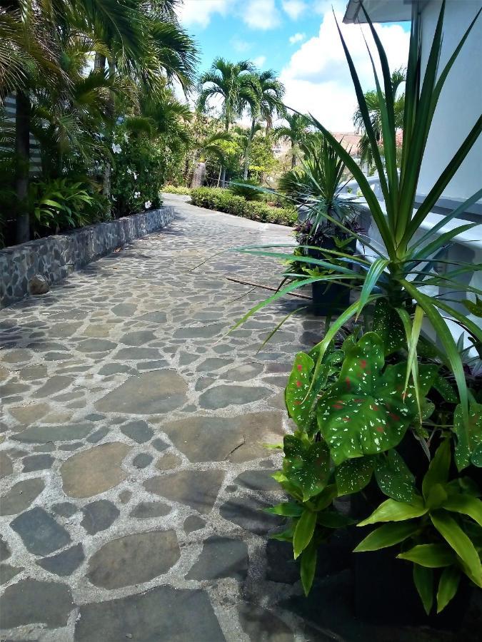 Caribbean Sea View Apartment *