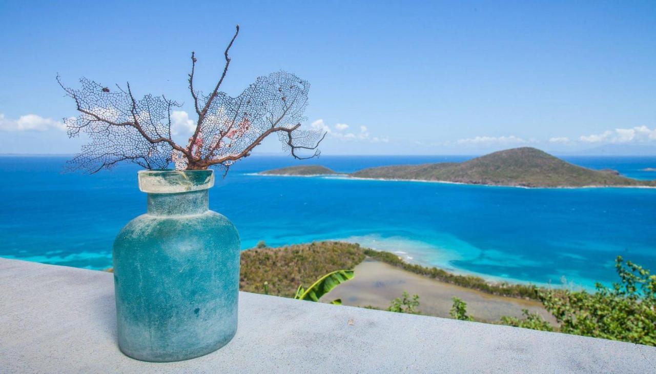Aleli * Isla Culebra
