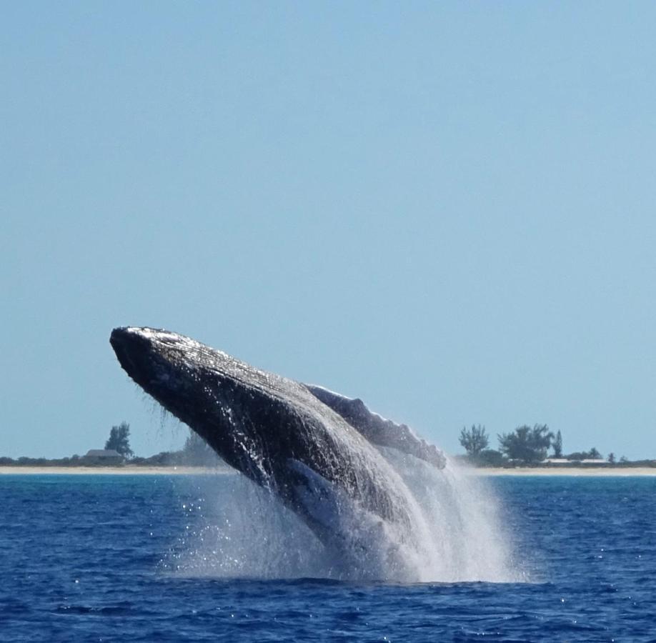 The Meridian Club, Turks And Caicos 3* Pine Cay