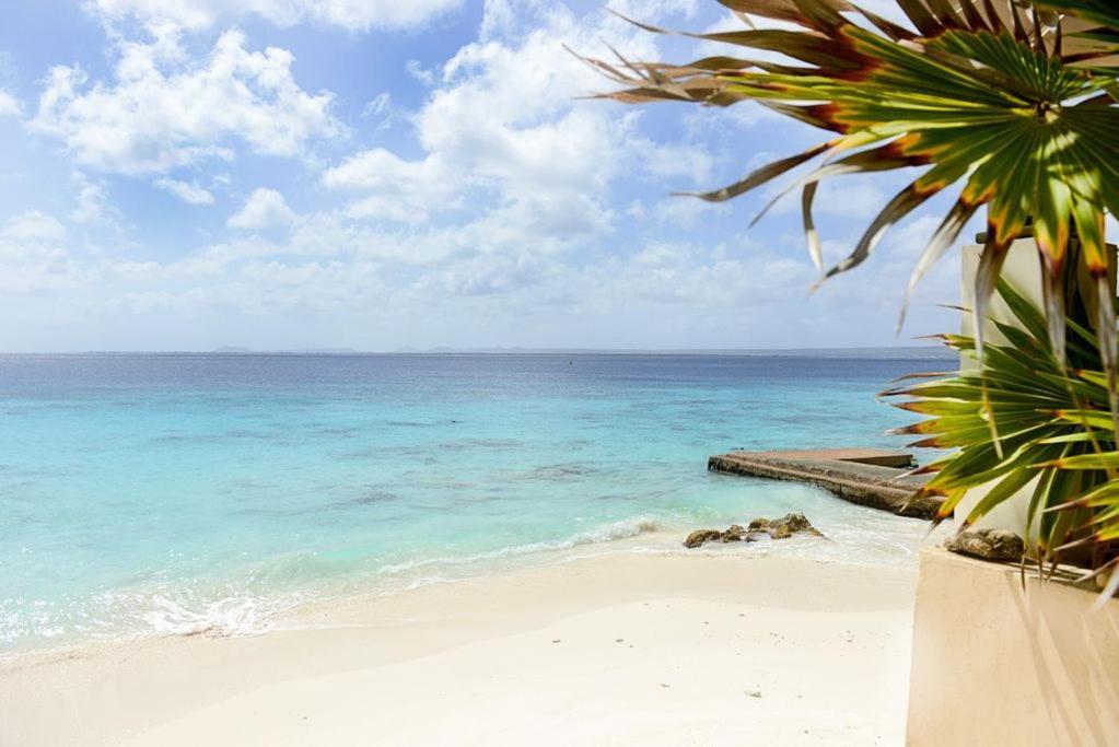 Bellevue 5 * Playa