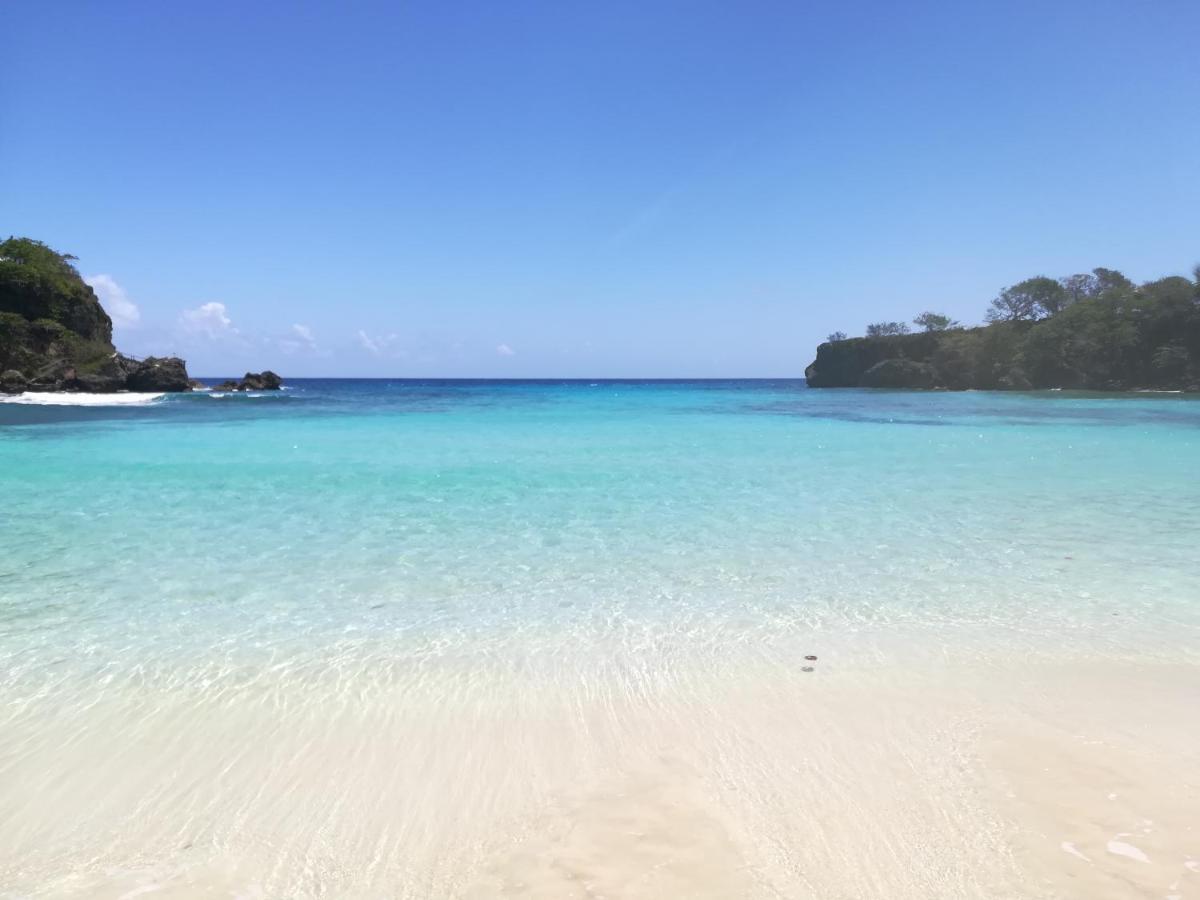 Toga Bed & Breakfast Port Antonio