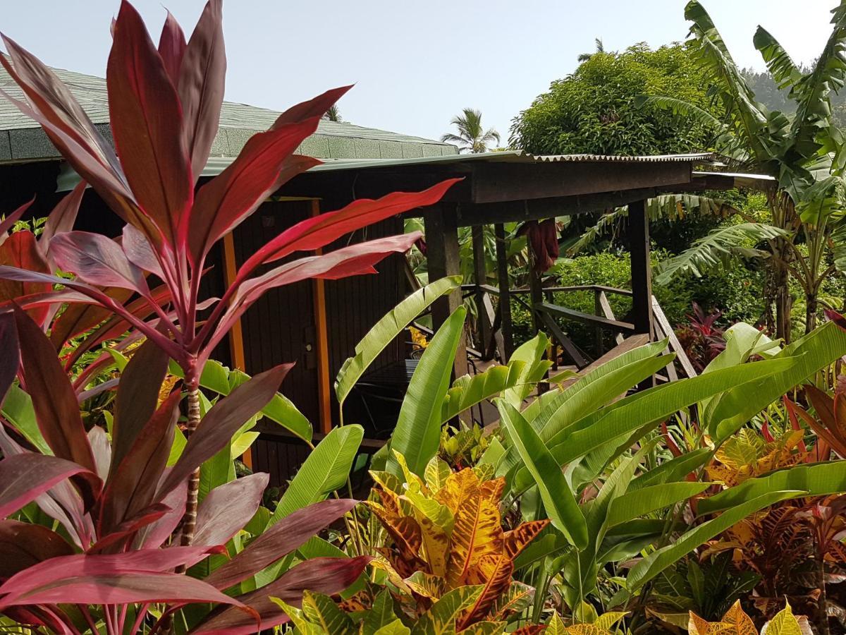 Hibiscus Valley