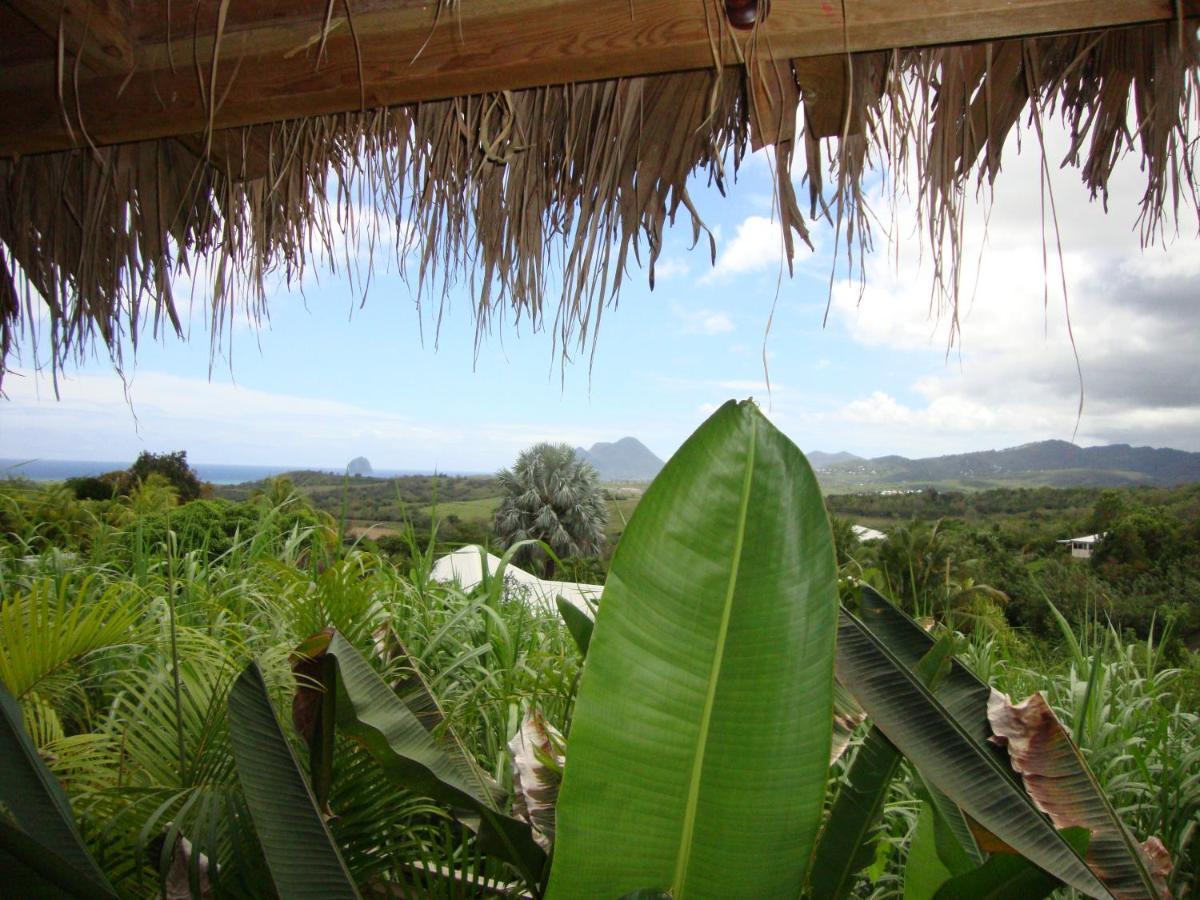 Eden Paradise