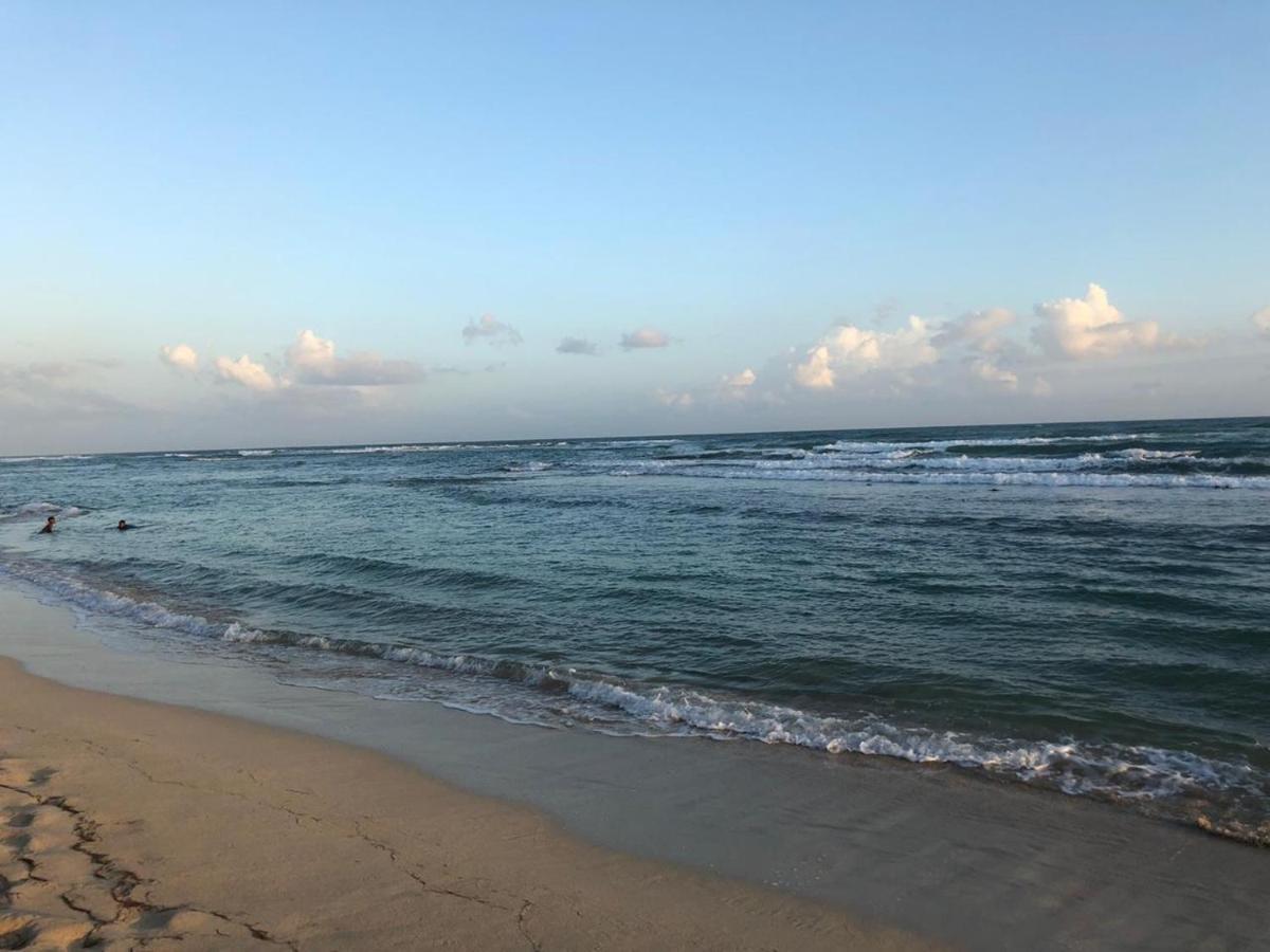 Apartment La Gaviota B3 *