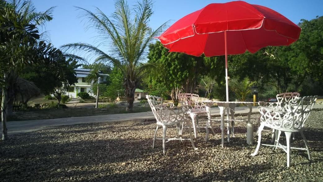 Alfonsina Guest house