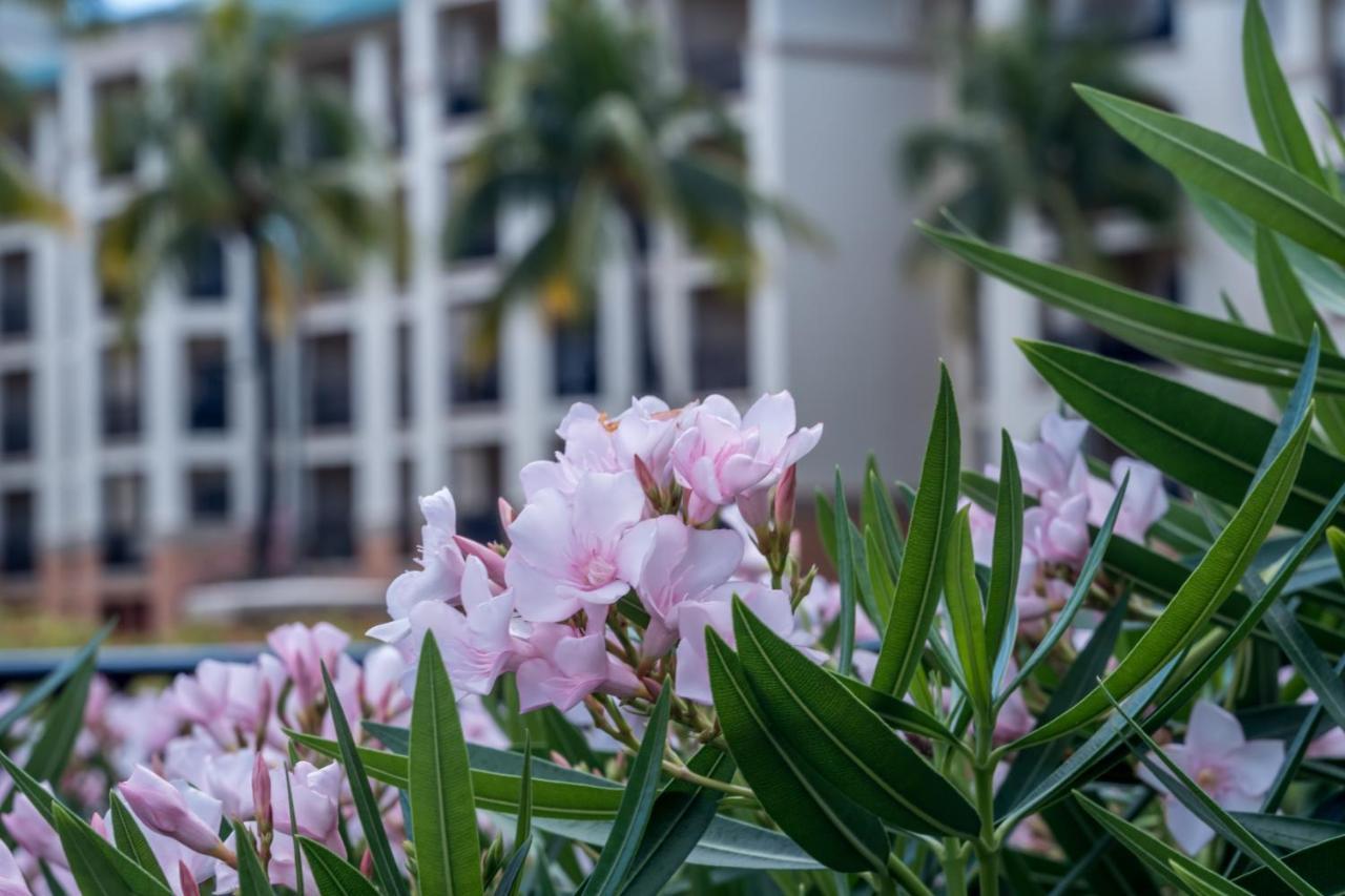 Great Bay Located At The Ritz-carlton Club, St Thomas Resort Nazareth