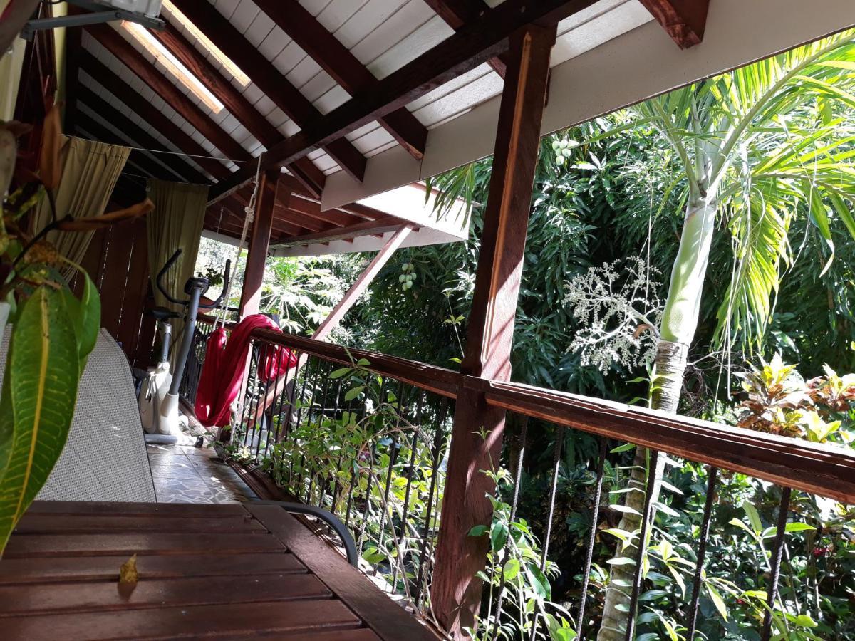 Hibiscus Valley 3*