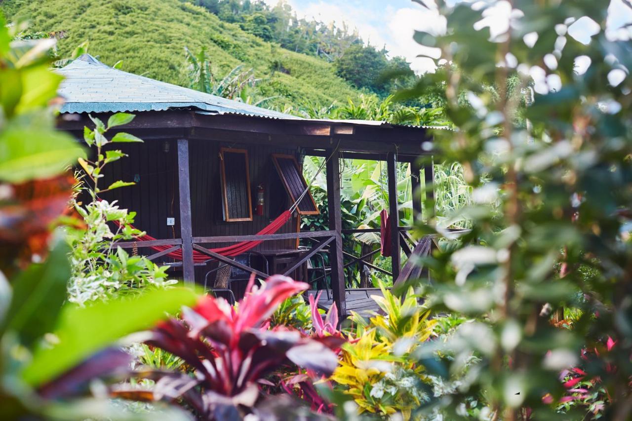 Hibiscus Valley 3* Marigot