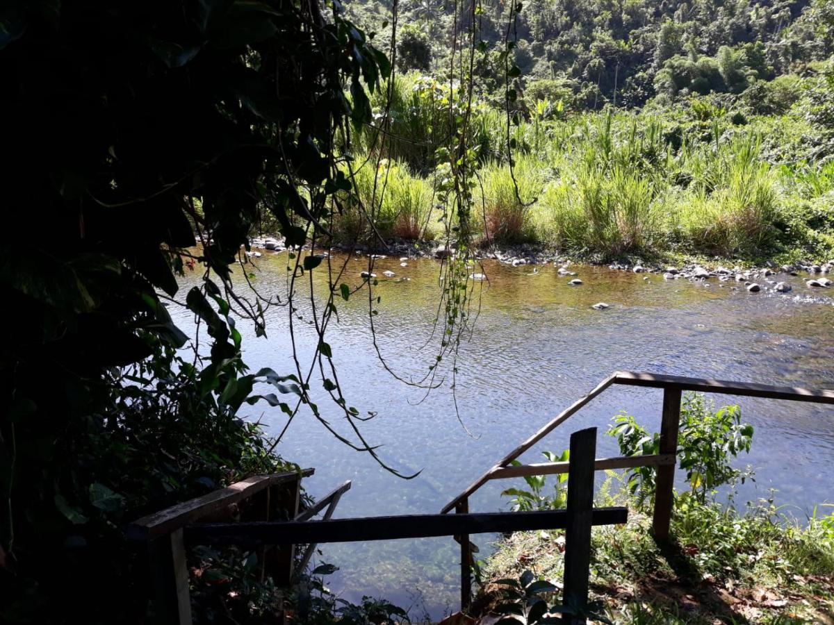 Hibiscus Valley 3*