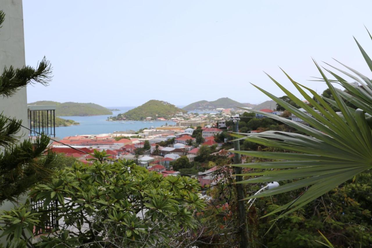 The Iguana Charlotte Amalie