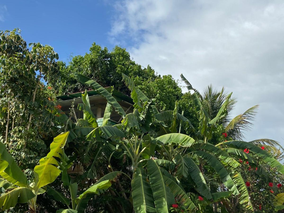 Holiday home Titanse, La Dans L Arbre Capesterre