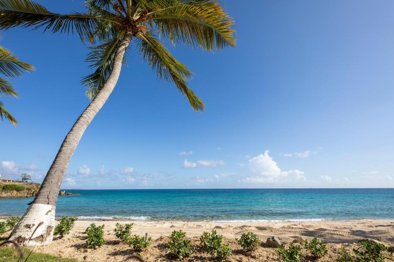 Limetree Beach By Club Wyndham Resort