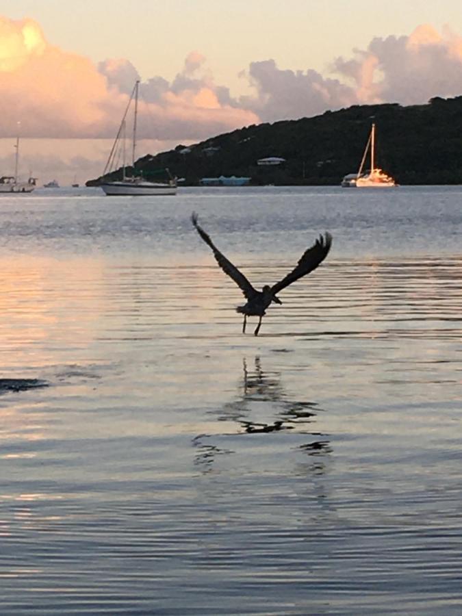 Guest house Naniqui - Only Adults -parking Golf Car Only Isla Culebra