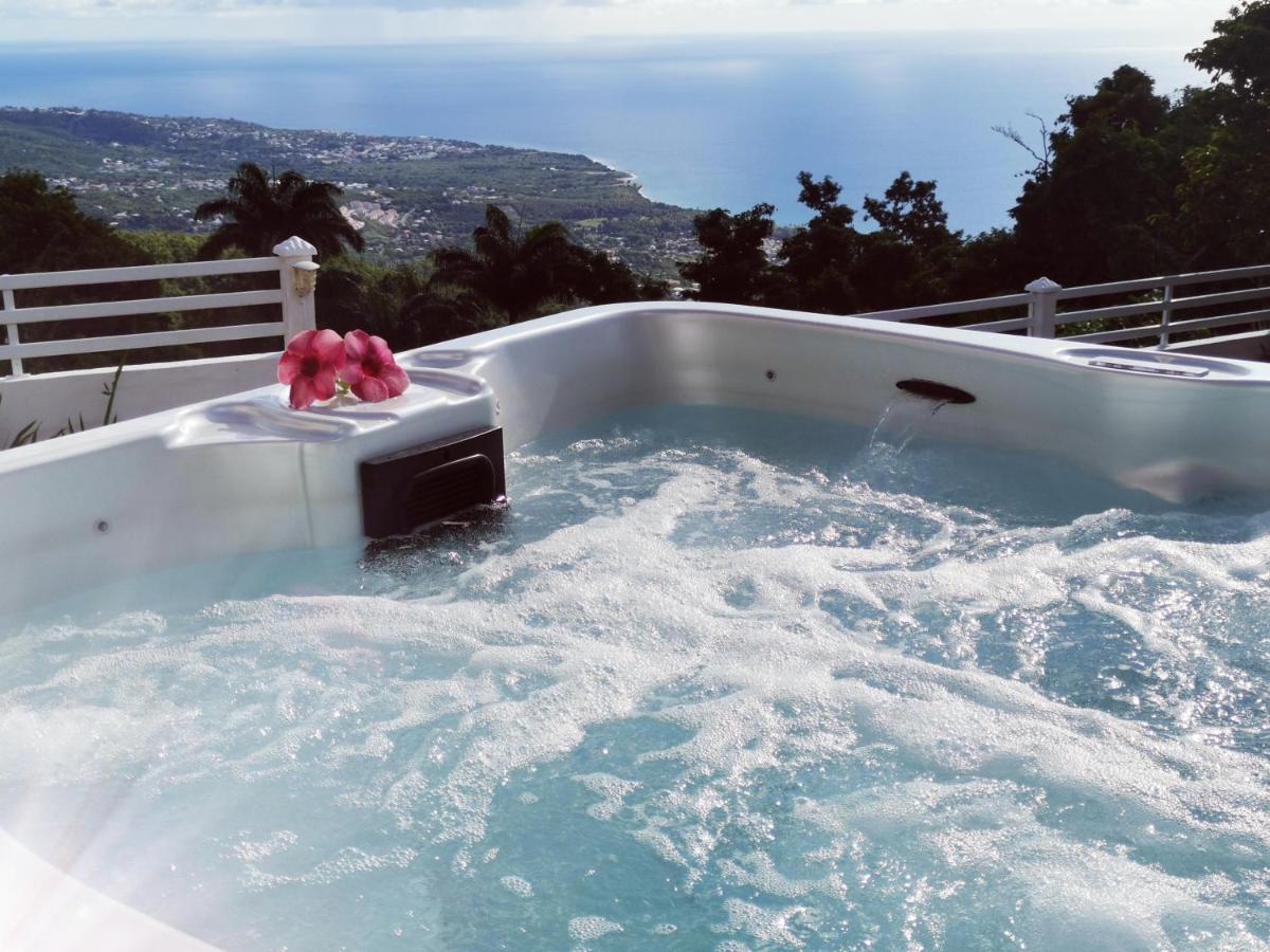 Belavue & Prive, Avec Vue Panoramique Sur Mer, Jardin Creole Paysager, Jacuzzi Prive * Bouillante