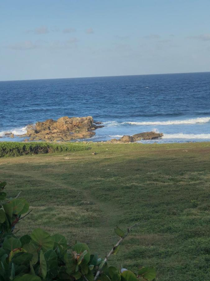 Villa Le Ti Bleu Le Moule