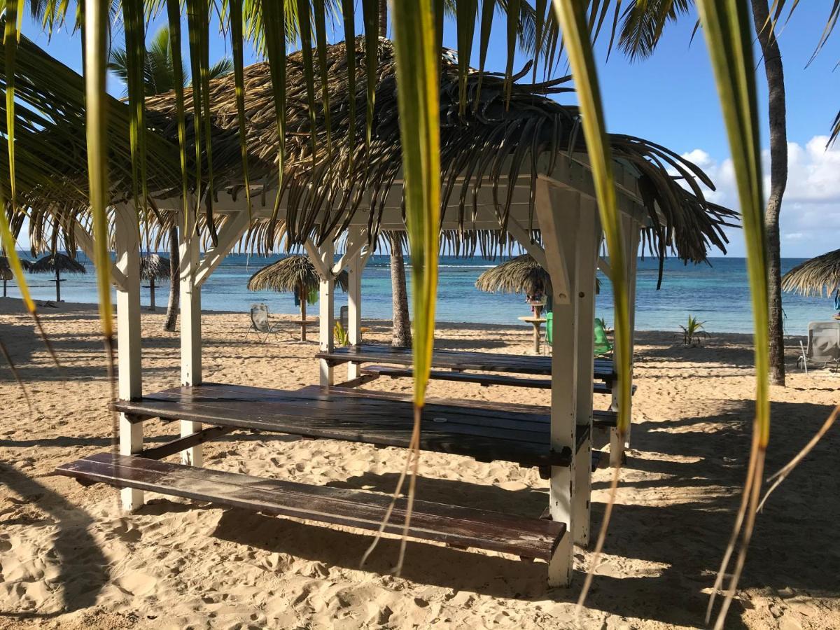 Apartamento Brin D'ile Anse Des Rochers Vue A 50 M De La Et Piscine Saint-Francois (Grande-Terre)